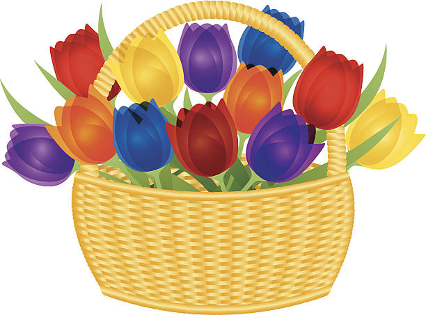 ilustrações, clipart, desenhos animados e ícones de cesta de páscoa com tulipas coloridas vetor ilustração - single flower flower mothers day easter
