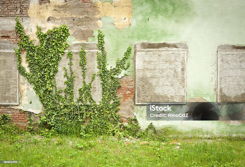 Paredes de janelas com Hera - Foto de stock de Abandonado royalty-free