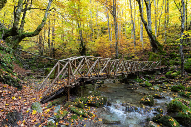 Herbstfarben in Griechenland – Foto