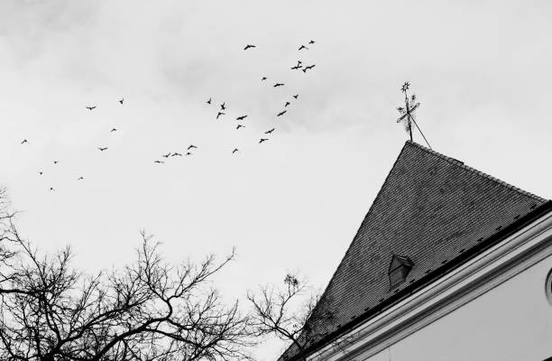 istock Birds and Church 180812506