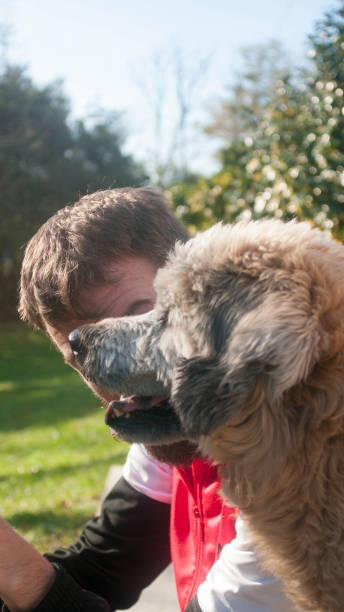 istock Hairy dog and owner in a  park 1808125400