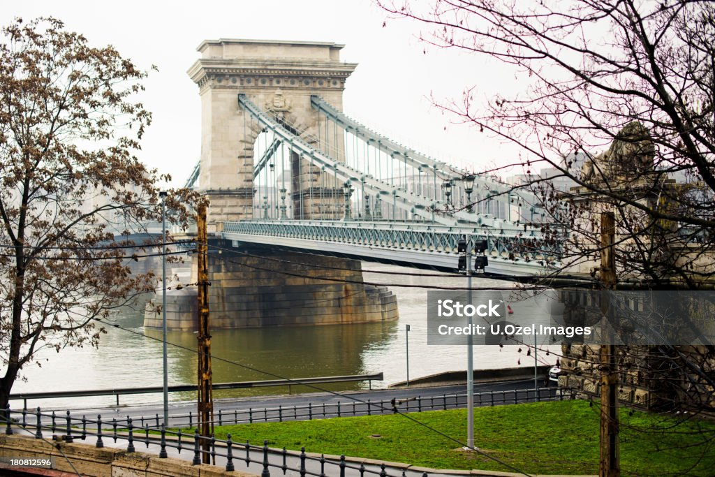 Liberty Bridge-Most łańcuchowy w Budapeszcie - Zbiór zdjęć royalty-free (Architektura)