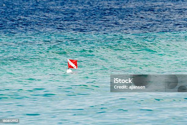 Diver Underneath A Buoy In The Caribean Stock Photo - Download Image Now - Beacon, Buoy, Caribbean