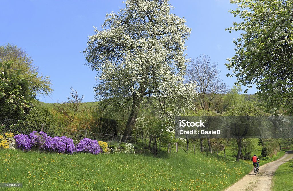 Wunderschöne Natur in den Frühling. - Lizenzfrei Baum Stock-Foto