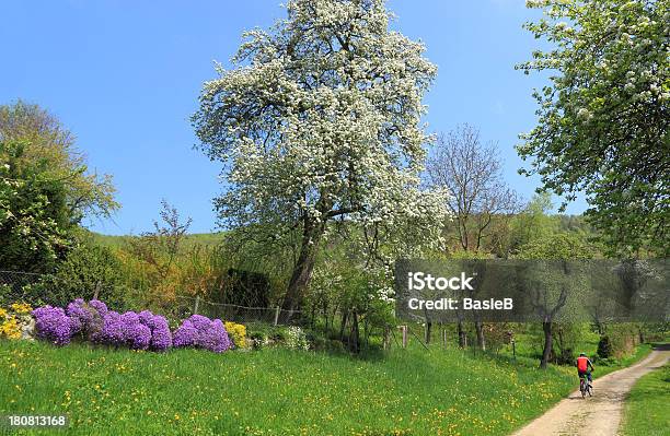 Wunderschöne Natur In Den Frühling Stockfoto und mehr Bilder von Baum - Baum, Baumblüte, Birnbaum