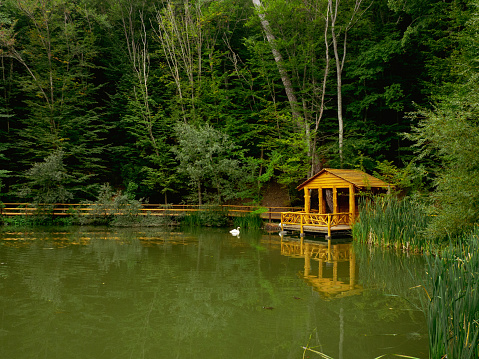 Picturesque landscape. Lake house. Reflection in water. Forest