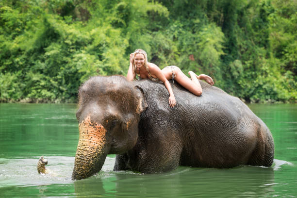 istock Woman riding on an Elephant, Tropical Rain Forest 180813298