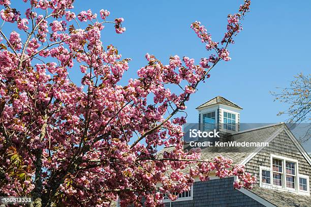 Foto de Tempo De Flor De Cerejeira e mais fotos de stock de Flor de Cerejeira - Flor de Cerejeira, Massachusetts, Arquitetura