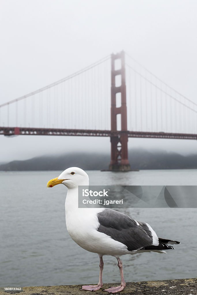 Golden Gate Bridge - Photo de Admirer le paysage libre de droits