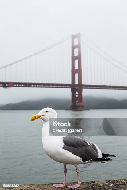 Photo libre de droit de Golden Gate Bridge banque d'images et plus d'images libres de droit de Admirer le paysage - Admirer le paysage, Architecture, Art déco