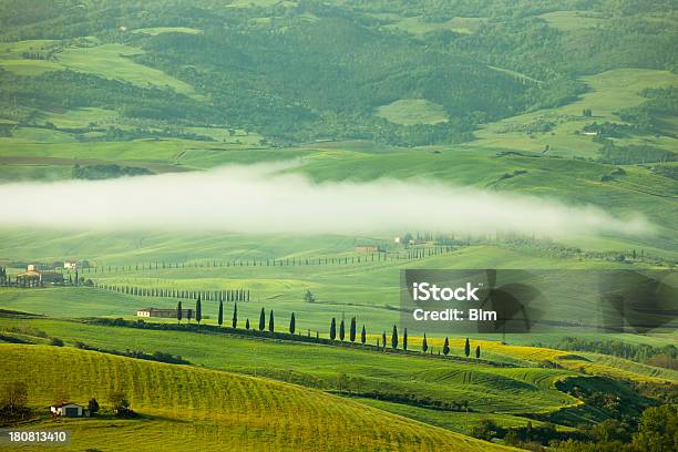 Paisaje De Toscana Cypresses Y Niebla De La Mañana Toscana Italia Foto de stock y más banco de imágenes de Agricultura