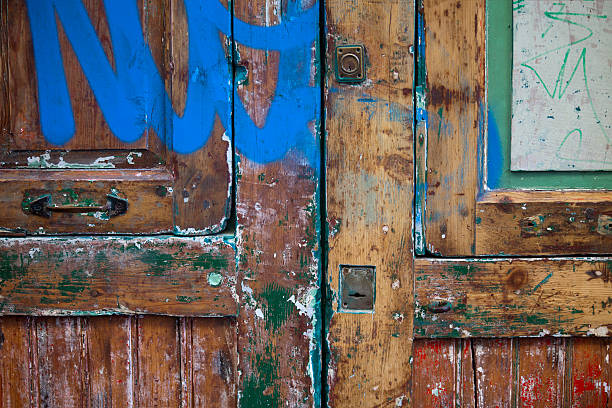 istock Old painted wooden door 180813498