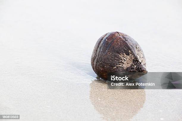 Stare Puste Pęknięty Kokosy Na Tropikalnej Plaży - zdjęcia stockowe i więcej obrazów Bez ludzi - Bez ludzi, Brzeg wody, Fala - Woda