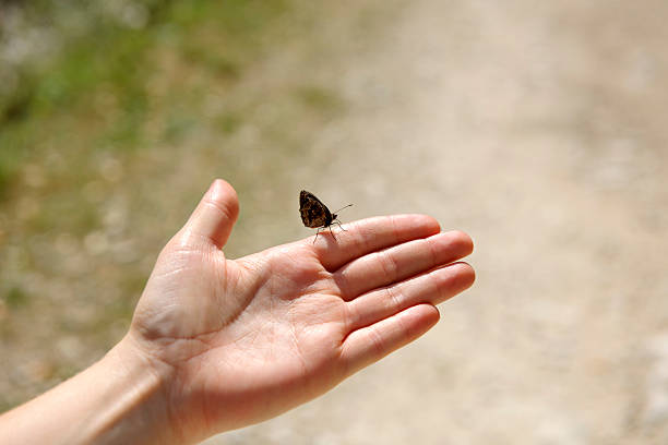istock butterfly in woman hand 180813557