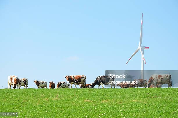 Cow 가축떼 On 패스처 앞에서 풍력발전기 암소에 대한 스톡 사진 및 기타 이미지 - 암소, 축우, 풍력발전기