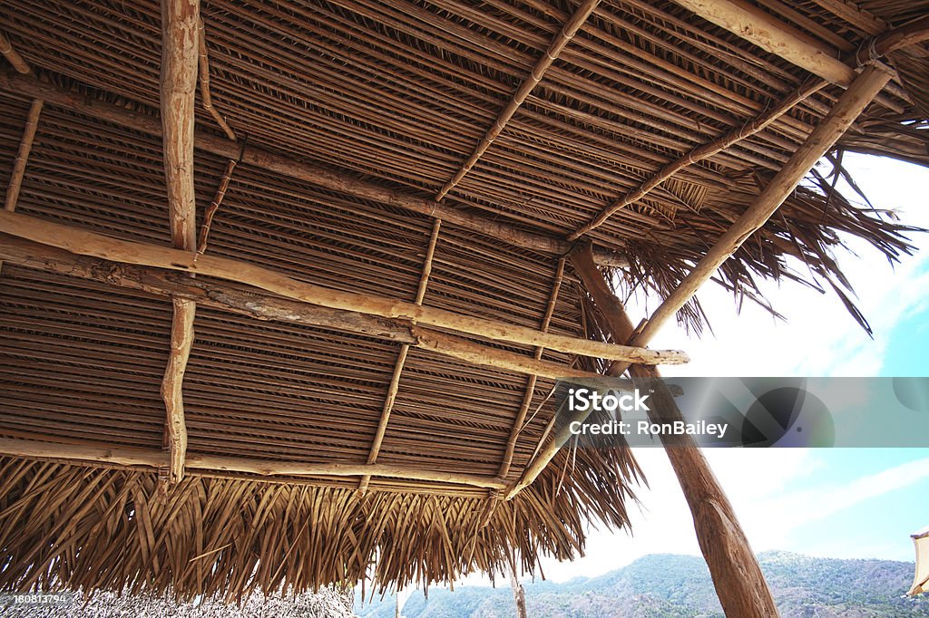 Folha de Palmeira barraca de sol na cobertura, na Praia de Yelapa aldeia de pescadores, México - Foto de stock de Folha de Palmeira royalty-free