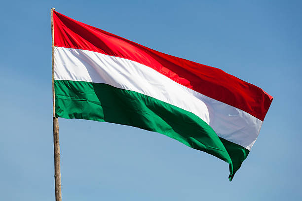 istock Flag of Hungary 180813830