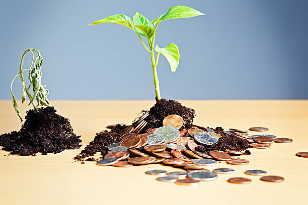 istock Bizarre contrast between plant thriving in coins and dying seedling 180814046