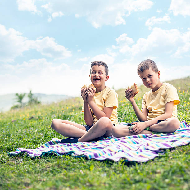 Little boys having picnic stock photo