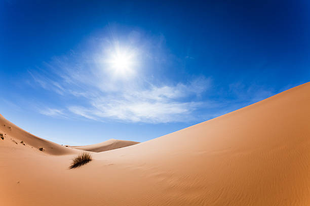 sahara desert アレーナ、モロッコ、ブルースカイ - landscape desert wave pattern erg chebbi dunes ストックフォトと画像