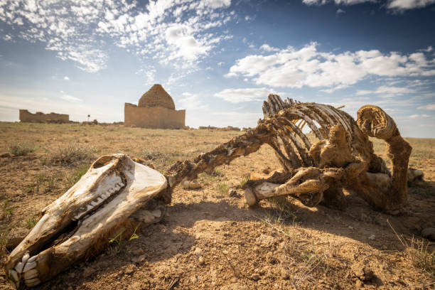 istock ancient cemetery in the Ustyurt desert. Kazakhstan 1808143308