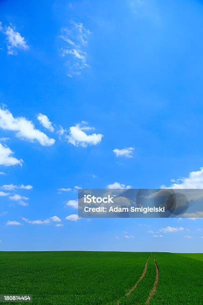 Grünen Feld Mit Farm Road Stockfoto und mehr Bilder von Agrarbetrieb - Agrarbetrieb, Anhöhe, Blau