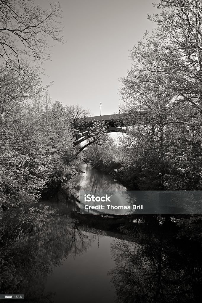 Bridge over creek Monochromatic styling of scene depicting a bridge amongst spring foliage reflecting on the creek. Black And White Stock Photo