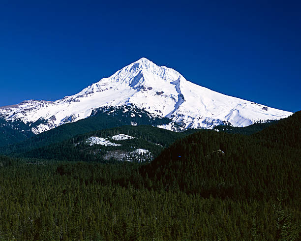 istock Snow covered Mount Hood under a clear blue sky 180814668