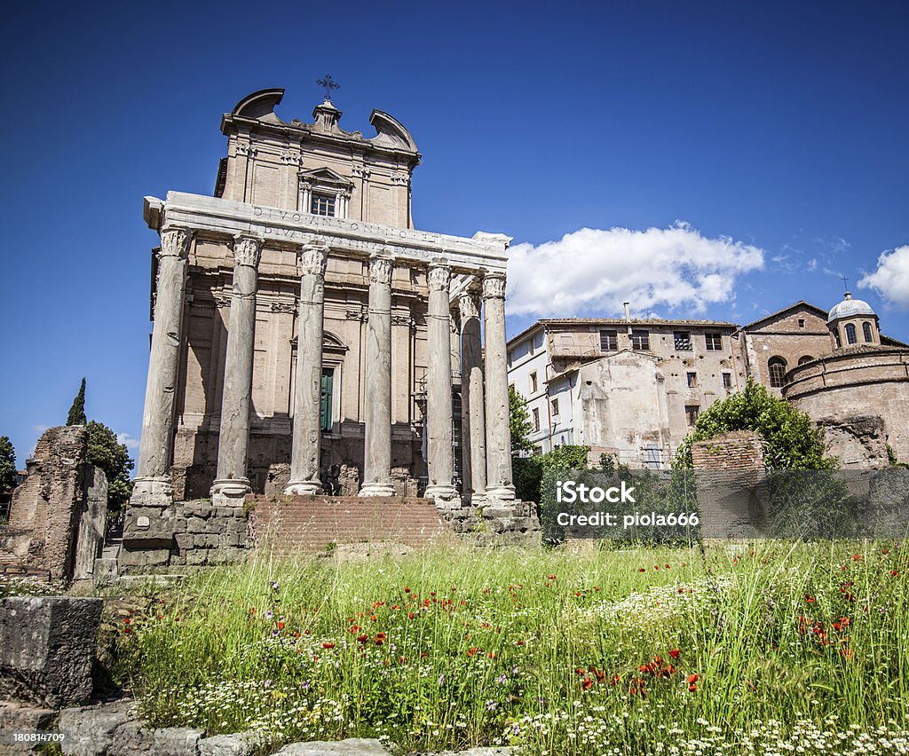 The Temple of Antoninus and Faustina in Roman forum "The Temple of Antoninus and Faustina is an ancient Roman temple in Rome, adapted to the church of San Lorenzo in Miranda. It stands in the Forum Romanum.ROME S.P.Q.R. Lightbox:" Ancient Stock Photo