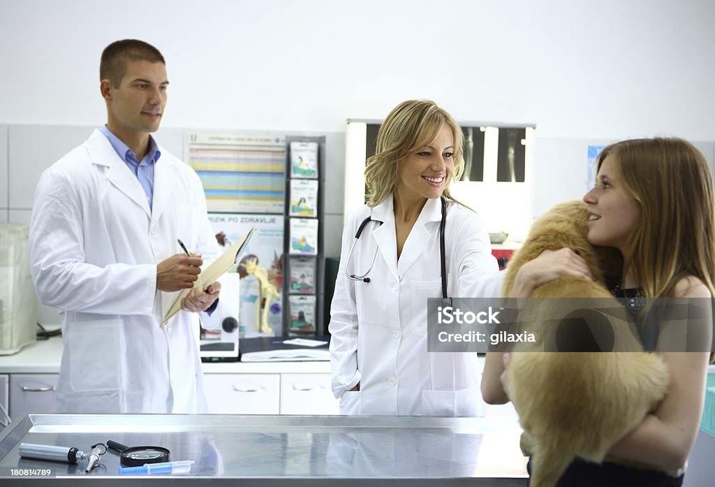 Ragazza prendendo il suo cane al veterinario. - Foto stock royalty-free di Accudire