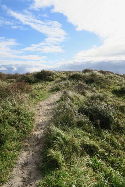 istock Hiking path in the dunes of Schiermonnikoog 1808148596