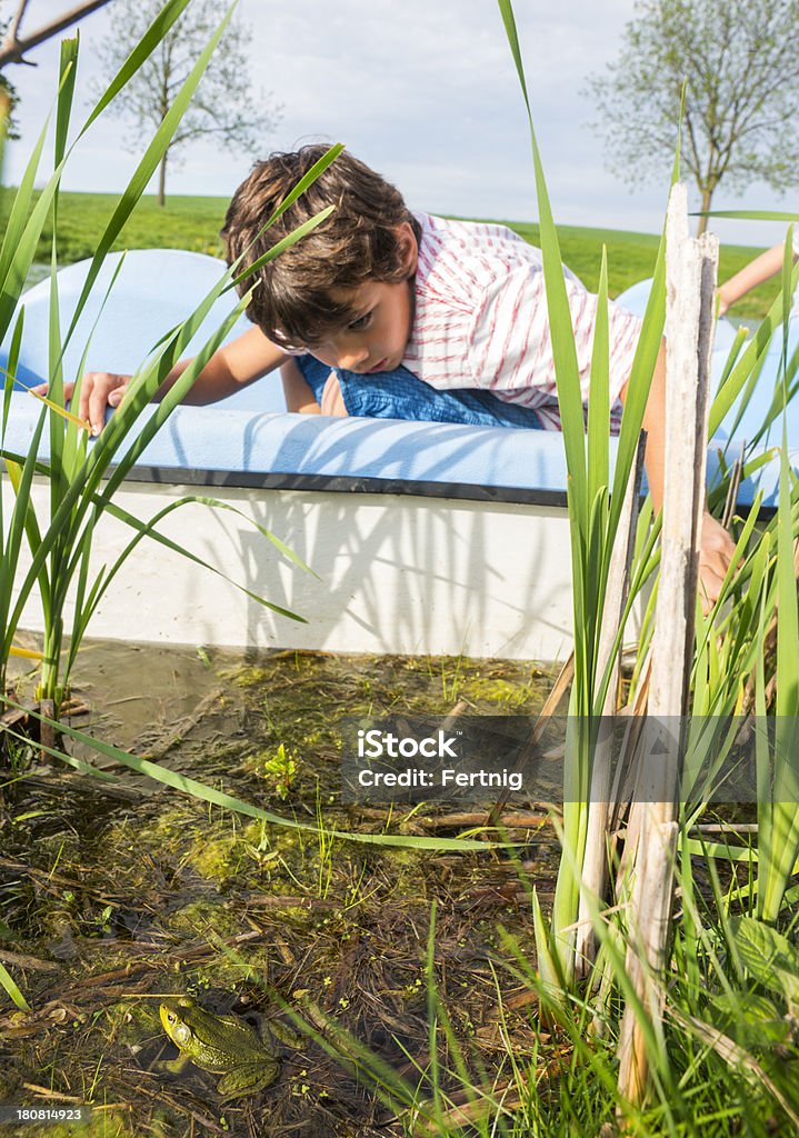 Chasse de grenouilles - Photo de Enfant libre de droits