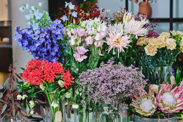 istock Various blooming flowers in floral shop 1808151277