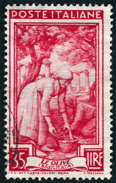 istock Italian Olives Stamp 180815229