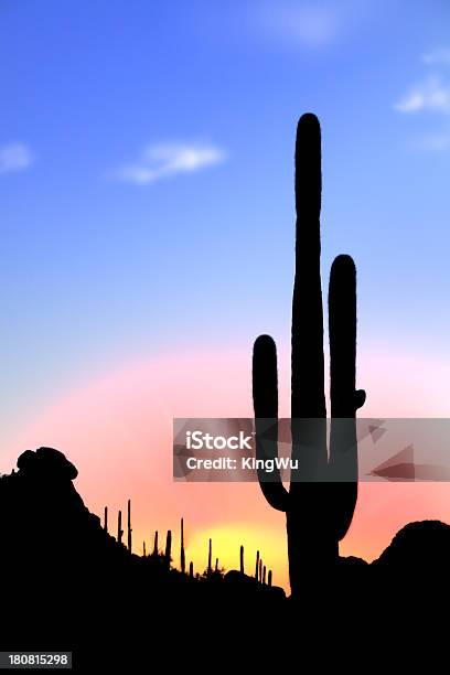 Кактус На Рассвете — стоковые фотографии и другие картинки Восход солнца - Восход солнца, Пустыня Сонора, Сагуаро