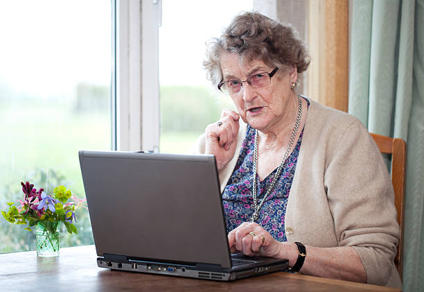 istock Senior lady working with a laptop 180815442