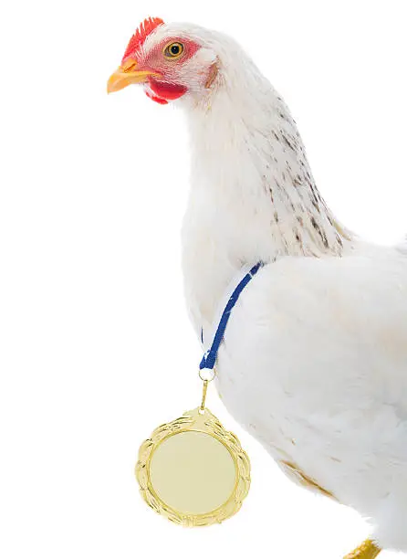 Photo of Hen with golden medal