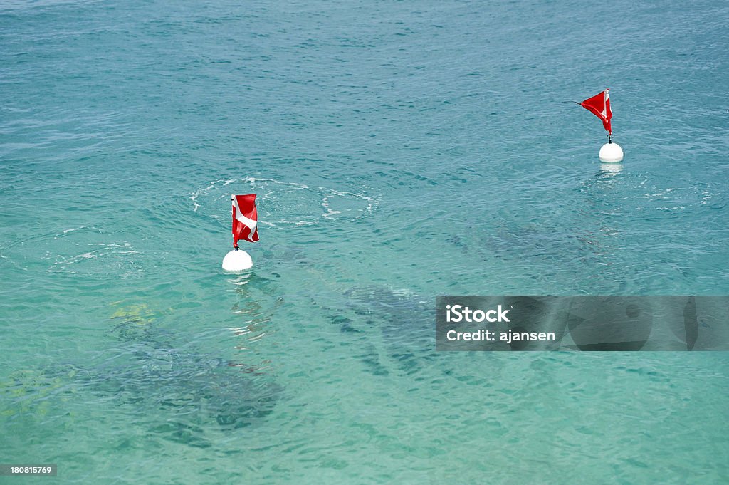 BUZO debajo a buoy en el Caribe - Foto de stock de Agua libre de derechos