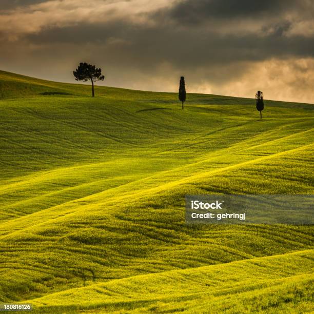 Foto de Tarde Ensolarada No Toscana e mais fotos de stock de Ajardinado - Ajardinado, Amarelo, Beleza natural - Natureza