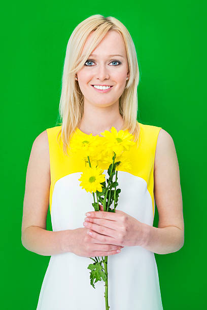 400+ Daisy Award Stock Photos, Pictures & Royalty-Free Images - iStock