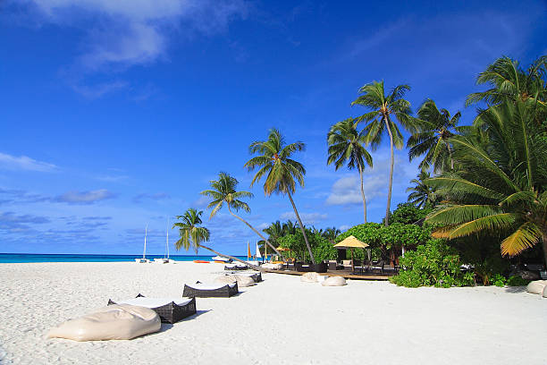 istock beautiful sandy beach near blue sea 180816746