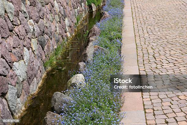 Garden Watercourse Stock Photo - Download Image Now - Forget-Me-Not, Yard - Grounds, Blue