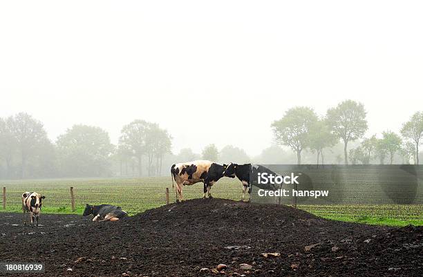 Scenic - Fotografias de stock e mais imagens de Chuva - Chuva, Schleswig-Holstein, Agricultura