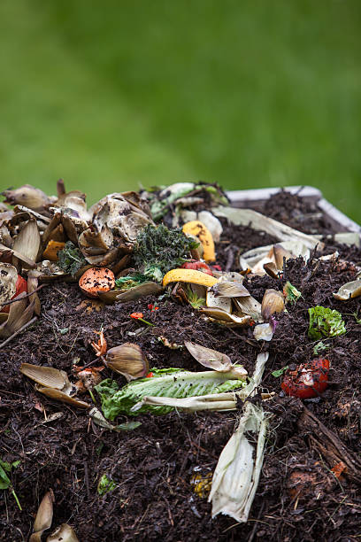 istock food scraps on top of compost pile copy space 180817189