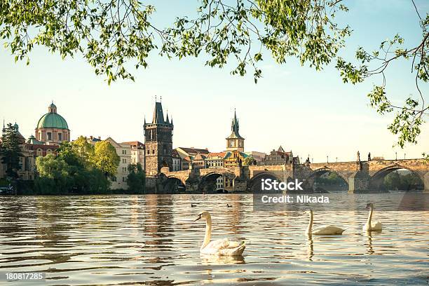 Prague Stock Photo - Download Image Now - Animal, Architecture, Bird