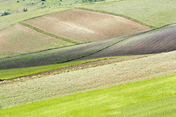 istock Green Field and unplowed area 180818958