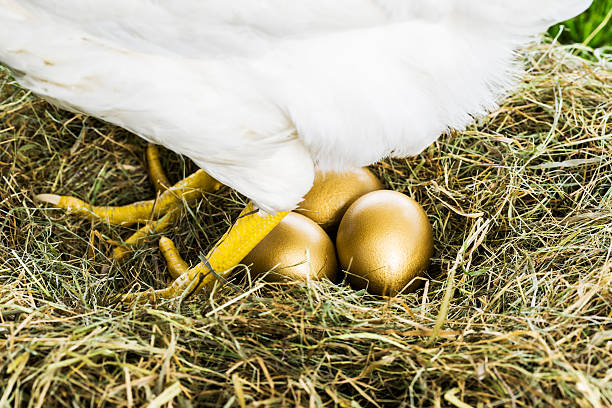 istock The hen that lays golden eggs 180819263