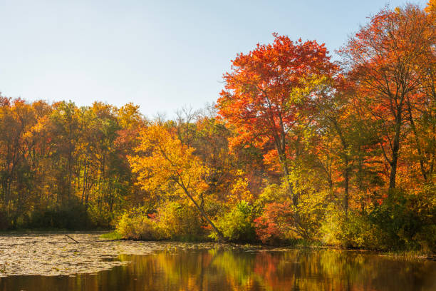 istock Fall color at Hopewell Lake 1808193611