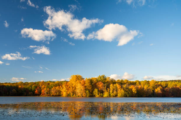 Hopewell Lake in Autumn, French Creek State Park, Elverson, Pennsylvania, USA