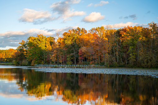 Hopewell Lake in Autumn, French Creek State Park, Elverson, Pennsylvania, USA